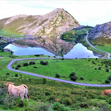 Llanes Con Piscina Y Jardin - Ardillas